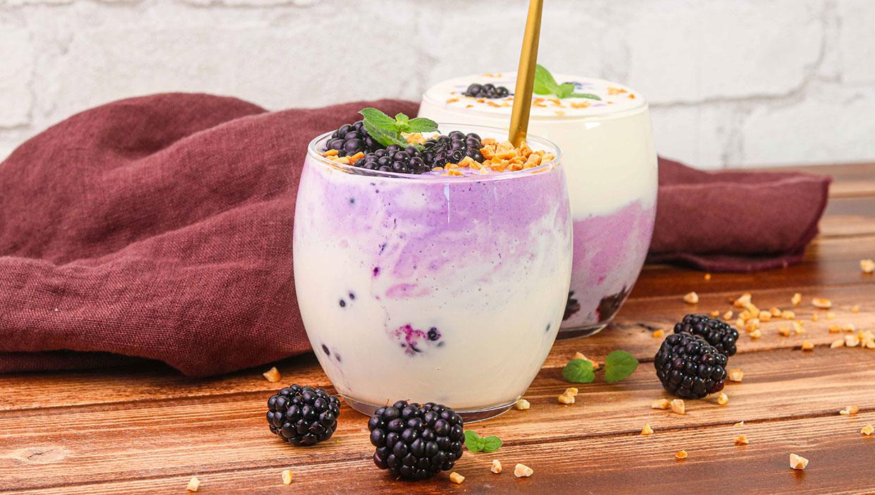 Brombeer-Ricotta-Dessert (Low Carb)