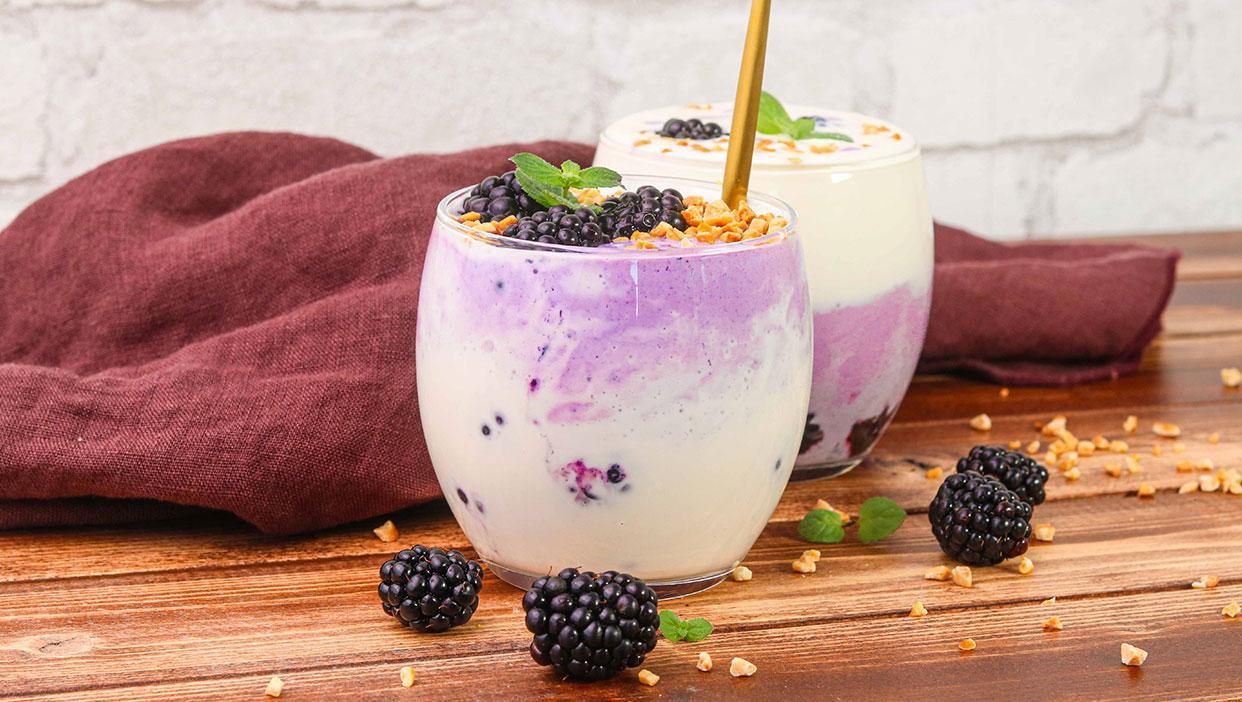 Brombeer-Ricotta-Dessert (Low Carb)