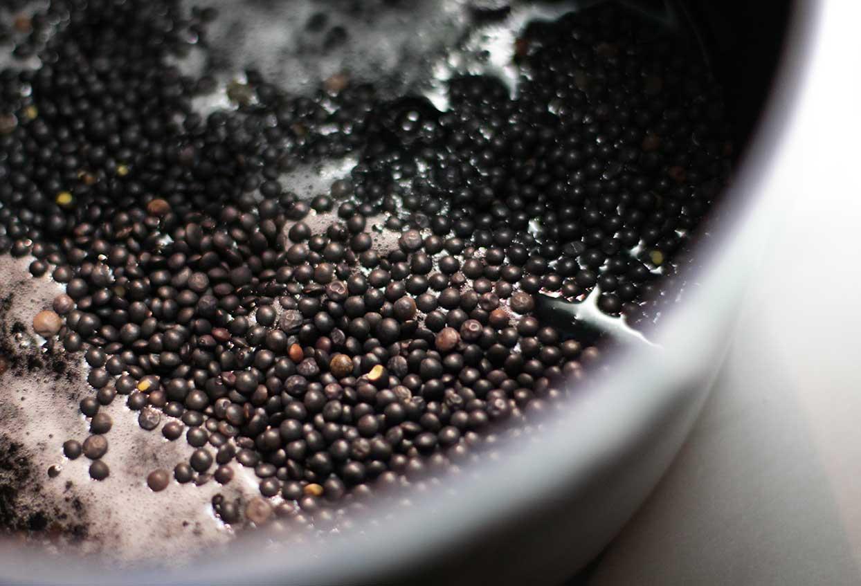 Schnelle Balsamico-Linsen mit Gemüse - Schritt 1